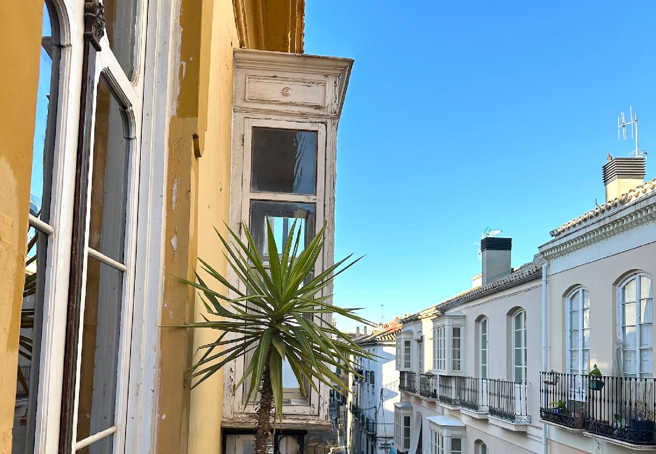 Apartment in Málaga - Beautiful Flat Near Plaza Merced - TakeCareMalaga Apartment in Málaga - Beautiful Flat Near Plaza Merced - TakeCareMalaga