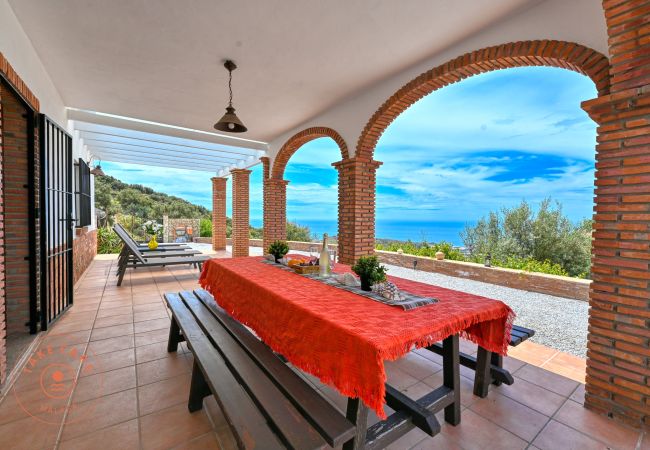 House in Sayalonga - Finca Aurelia in countryside Malaga - TCM House in Sayalonga - Finca Aurelia in countryside Malaga - TCM