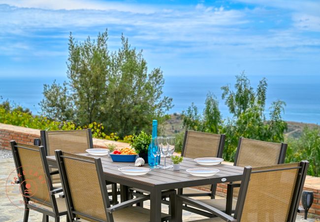 House in Sayalonga - Finca Aurelia in countryside Malaga - TCM House in Sayalonga - Finca Aurelia in countryside Malaga - TCM