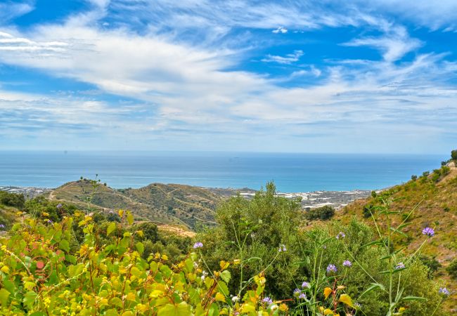 House in Sayalonga - Finca Aurelia in countryside Malaga - TCM House in Sayalonga - Finca Aurelia in countryside Malaga - TCM