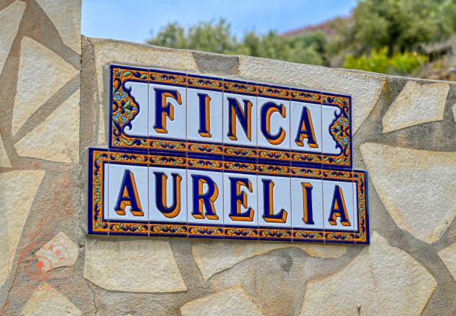 House in Sayalonga - Finca Aurelia in countryside Malaga - TCM House in Sayalonga - Finca Aurelia in countryside Malaga - TCM