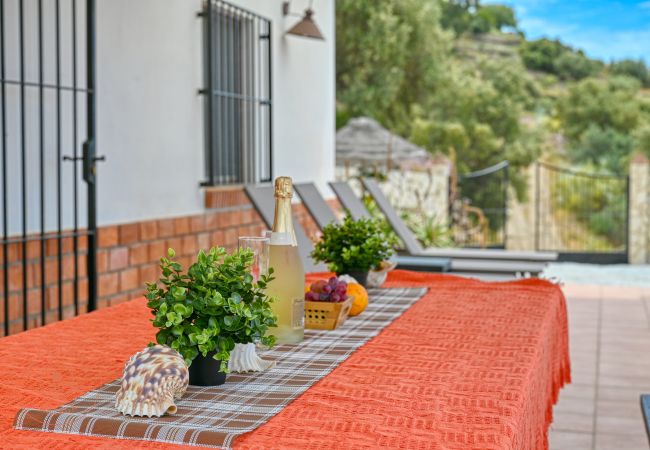 House in Sayalonga - Finca Aurelia in countryside Malaga - TCM House in Sayalonga - Finca Aurelia in countryside Malaga - TCM