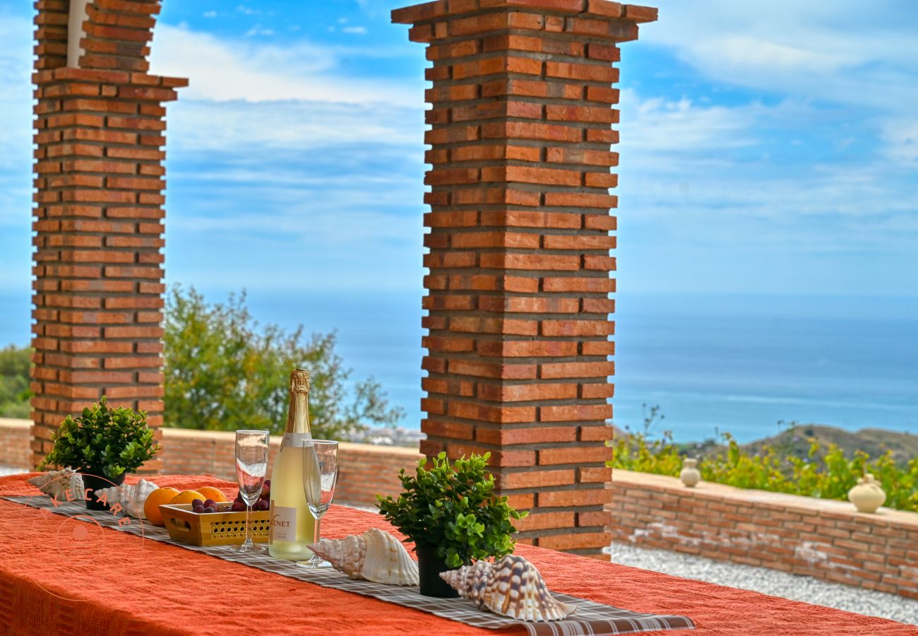 House in Sayalonga - Finca Aurelia in countryside Malaga - TCM House in Sayalonga - Finca Aurelia in countryside Malaga - TCM